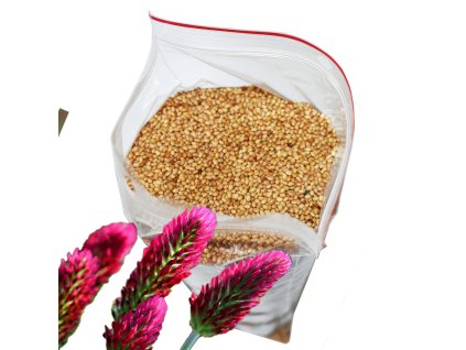 Jetel inkarnat - 0,5 kg - C