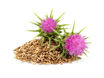 Ostropestrec mariansky - 0,5 kg - B