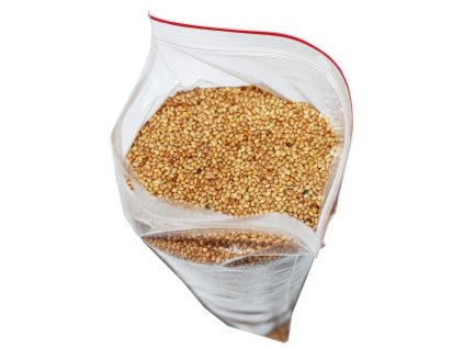 Jetel inkarnat - 0,5 kg - B