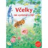 Vcelky - jak vyrustaji a ziji