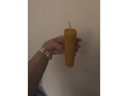 0D034936 505E 47A2 B6DF BD99660D50EB