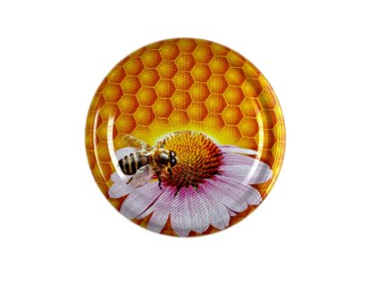 TO 66 Včela na kopretině