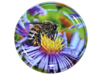 Včelka na květu(2