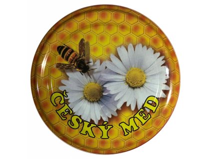 82 kopretina Cesky med BG scaled