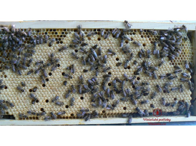 Oddělek 5 rámků 39x24