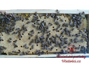 Oddělek 5 rámků 39x24