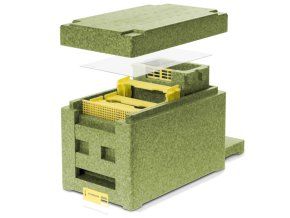 oplodnacek olivovy 0564