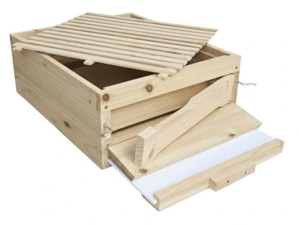 image (28) optimized