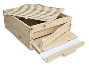 image (28) optimized