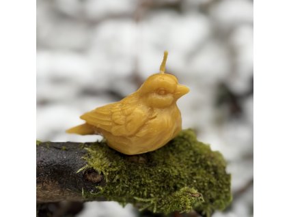 Ptáček z včelího vosku