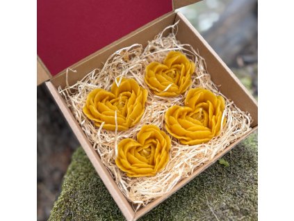 Produktové fotografie (1200 x 1200 px)