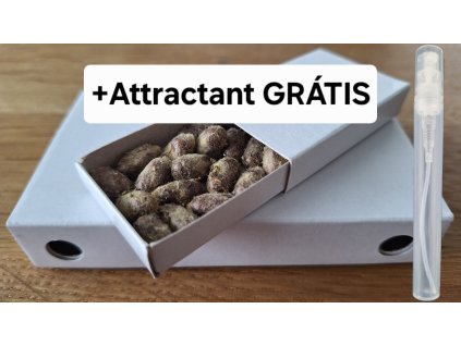 AKCIA - VČIELKY SAMOTÁRKY OSMIA RUFA (Kokóny+Liaheň+Attractant!)