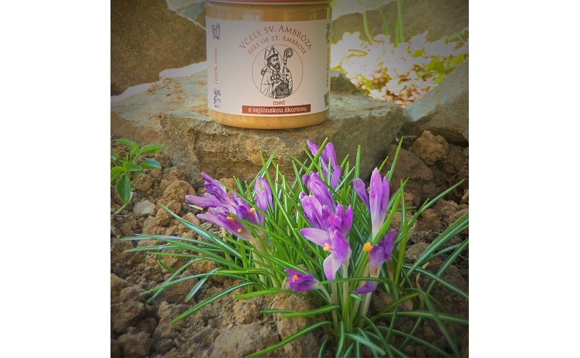 Jarná akcia - zachráňme včely!