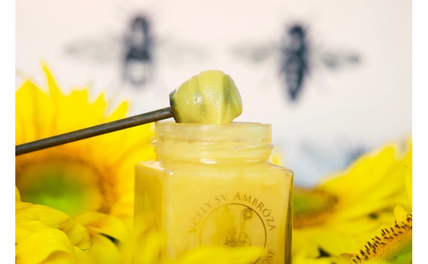 Co byste měli vědět o slunečnicovém medu