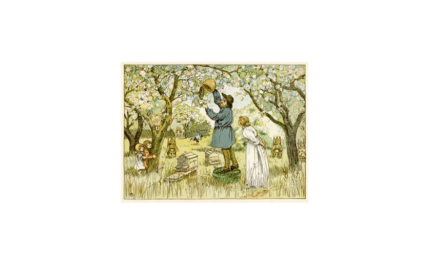 Pomáha surový med proti alergiám?