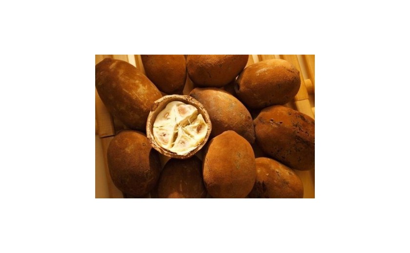 Bambucké máslo vs. cupuaçou máslo - které je lepší?