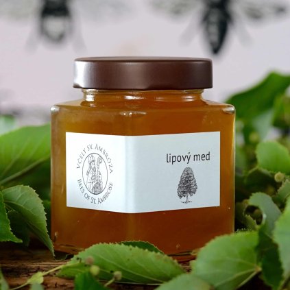 Lipový med