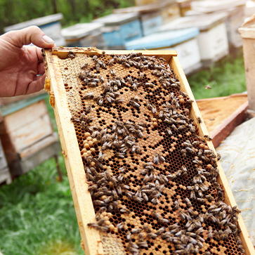 Rámky a pomůcky k jejich přípravě