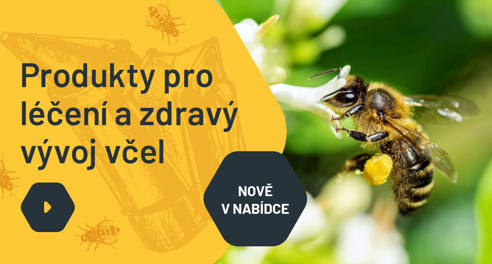 Lečiva pro včelstva