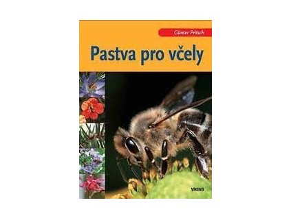 Pastva pro včely