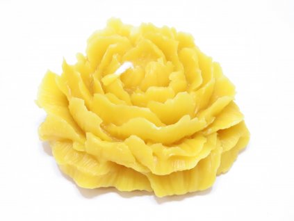 Svíčka ze včelího vosku květ