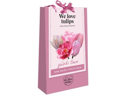 we love tulips pink love tulipa