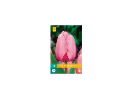 37580 tulipan pink impression