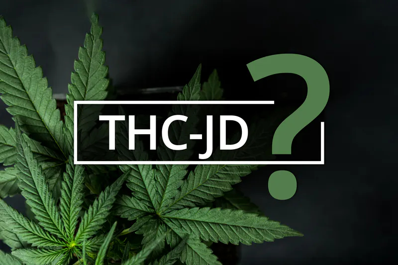 NOVINKA JMÉNEM THC-JD!