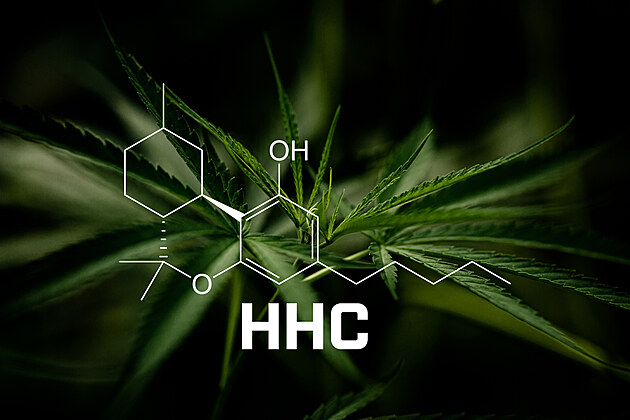 POKUD SCHVÁLÍ NÁVRH, MOHOU PŘIJÍT TRESTY STATISÍCŮ LIDÍ. OPRAVDU TOHLE VLÁDA CHCE?!