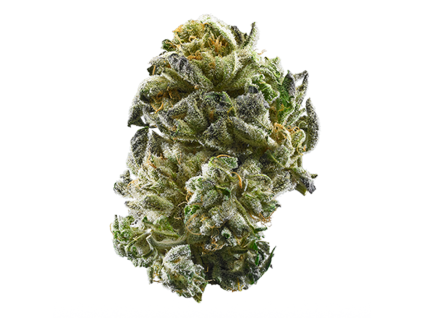 gsc