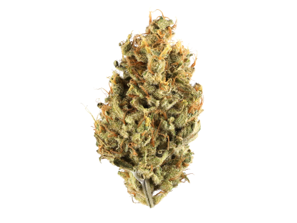White cali