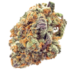 mimosa