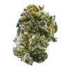 gsc