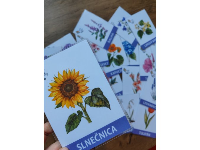 Komunikačné kartičky - Kvety