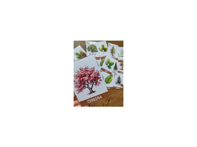 Komunikačné kartičky - Stromy