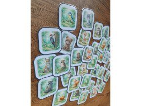 44d7ef3b d04b 4196 9fa2 dbf096b2264b