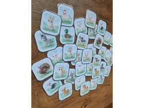 880ce774 899e 4109 96d0 b950b084124d