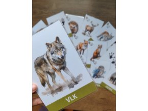 Komunikačné kartičky - Stopy lesných zvierat