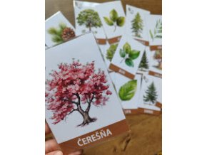 Komunikačné kartičky - Stromy