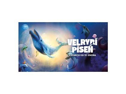 Velrybi pisen