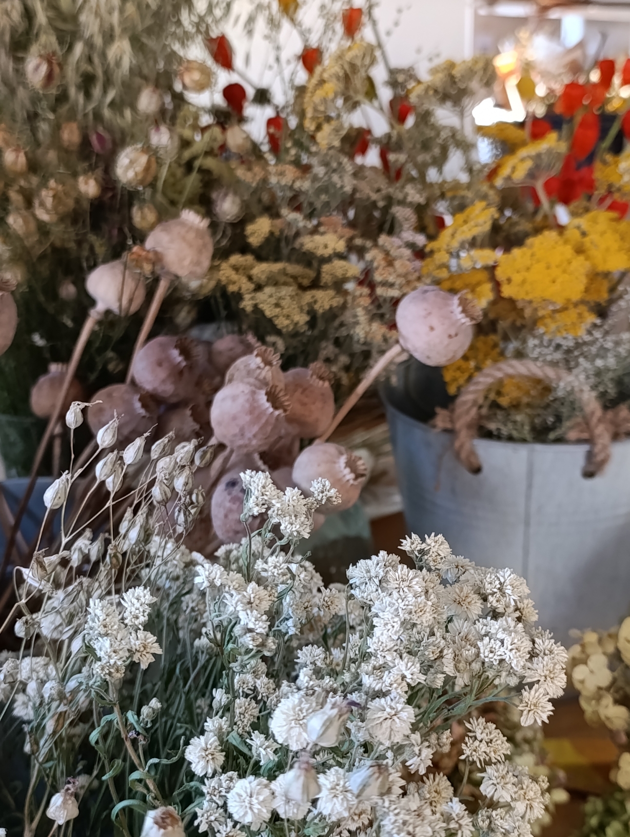 Zátišie v ateliéri