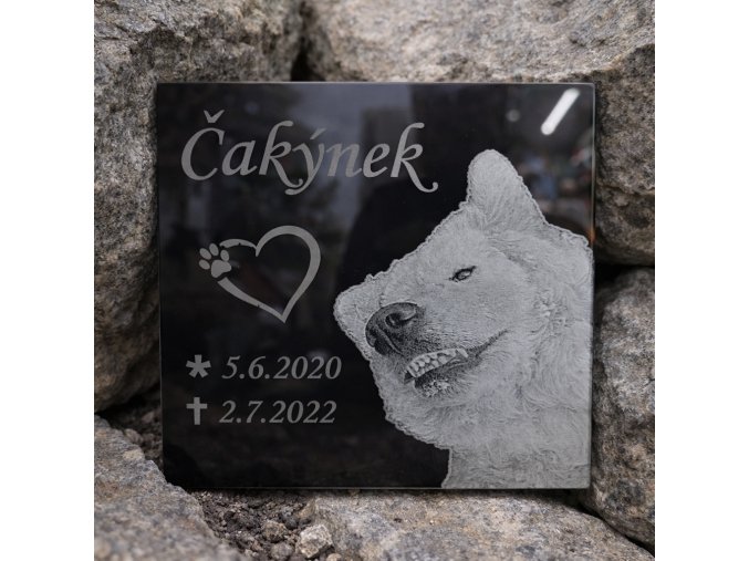 pomník pro psa ze skla2020