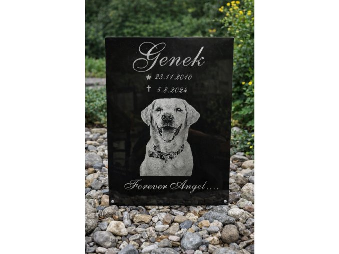nahrobni deska pro psa
