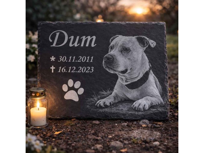 nahrobek pro psa bridlice 320