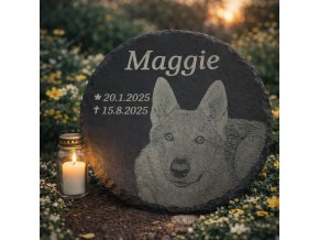 77fd62c8 f3c7 46d7 bd21 a8faba1daf5c