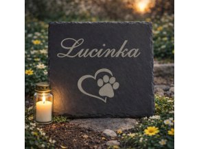 d05f8b5e 0caf 4dd2 bba0 7fdb1462de11