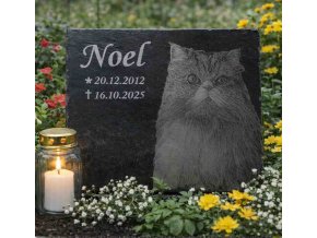 nahrobek pro kocku 3