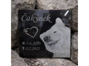 pomník pro psa ze skla2020
