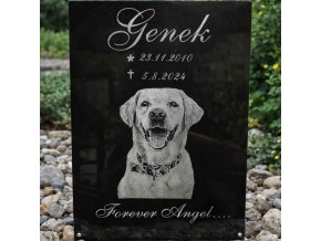 pomník pro psa ze skla 4030