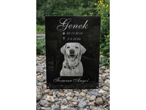nahrobni deska pro psa